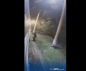 Atak na tramwaj we Wrocławiu