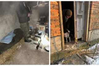 Dwa lata szedł z Francji do Polski. Teraz mieszka w pustostanie ze swoim psem. Jego historia wyciska łzy 