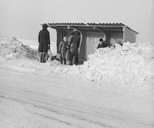 Jak atak zimy w 1978/79 pamiętają mieszkańcy Bydgoszczy?