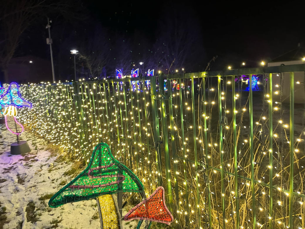 Garden of Lights w Szczecinie
