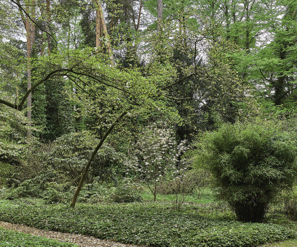 arboretum