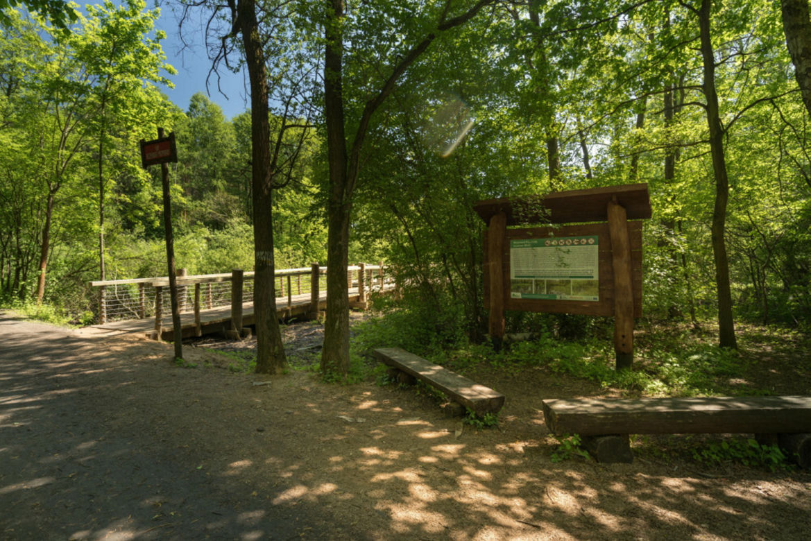 Park Górczewska na Bemowie 