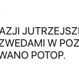 Memy po potężnej burzy w Poznaniu