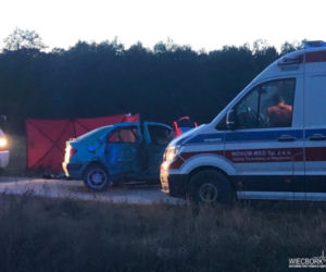 Tragiczny wypadek pod Sępólnem Krajeńskim! Nie żyje mężczyzna [ZDJĘCIA] 