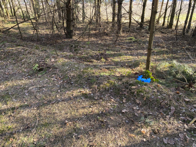 Znana detektyw komentuje sprawę Magdaleny Majtyki. „Nie można zakładać jednego scenariusza”