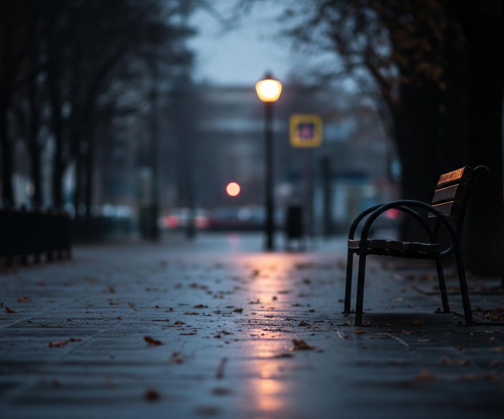 Zaginięcie Iwony Wieczorek. Czy algorytmy odkryją, co stało się z 19-latką?