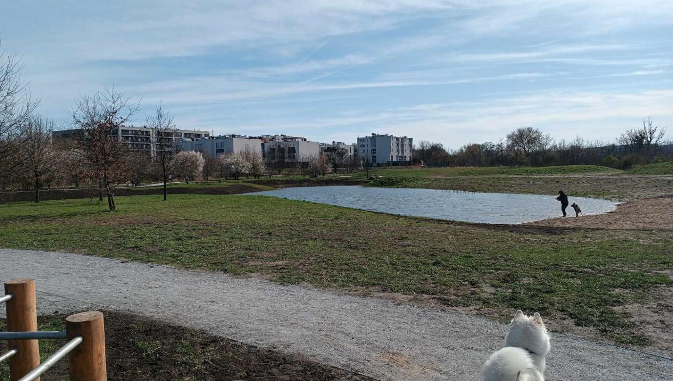 Miasto chwali się Parkiem Krzyckim. Na hucznym otwarciu mieszkańcy zastali plac budowy 