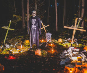 Rodzinne Halloween w JuraParku Solec w Solcu Kujawskim