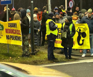 Protest pieszych w Łomiankach