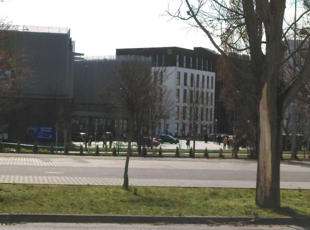 Tłumy przed marketami w Poznaniu