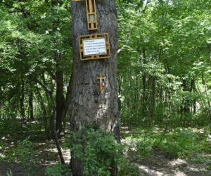 Kolejarze zabiorą mieszkańcom jedyne dojście do rezerwatu. Nie ma pieniędzy na tunel pod torami