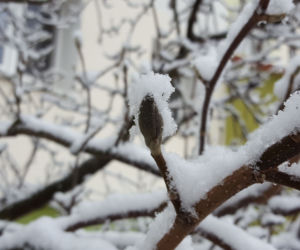 Dziś (19.03.) ostatni dzień zimy. Jutro (20.03.) początek astronomicznej wiosny