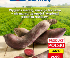 Super promocje w Lidlu