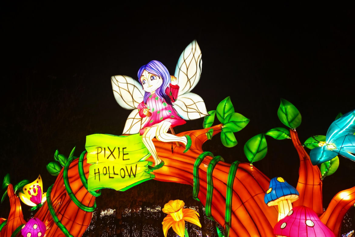Garden of Lights w Szczecinie