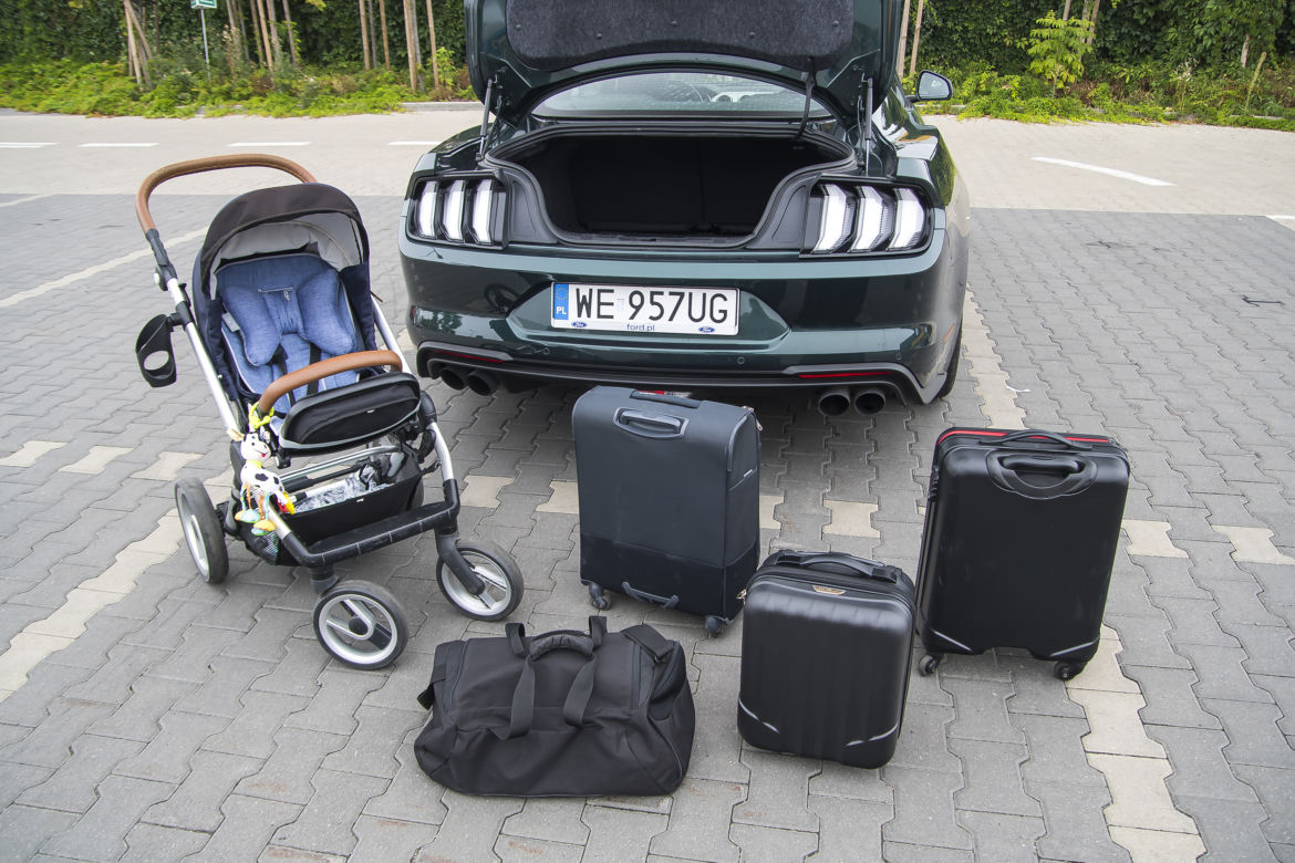 Ford Mustang Bullitt 5.0 V8 6MT