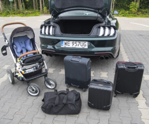 Ford Mustang Bullitt 5.0 V8 6MT