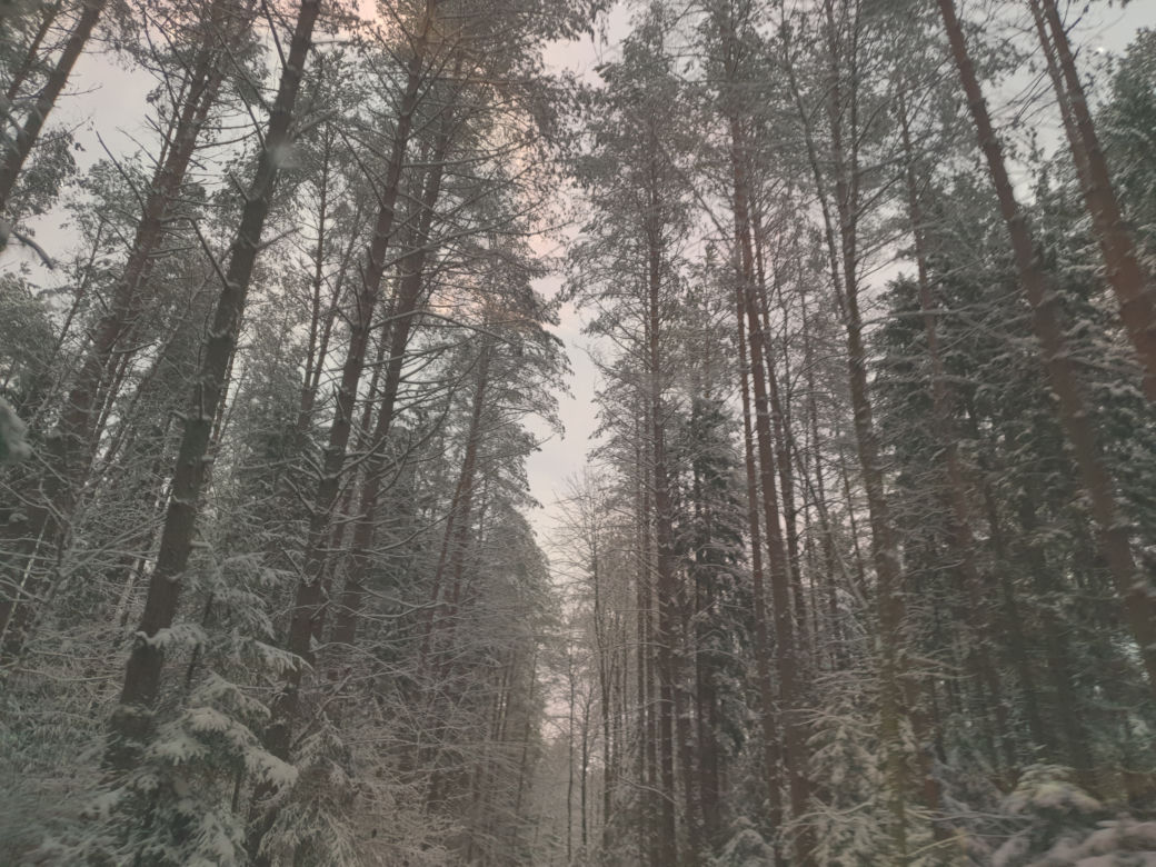 Podlasie w zimowej szacie