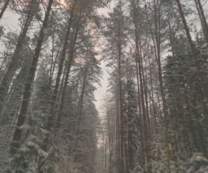 Podlasie w zimowej szacie
