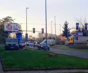 Okazałe drzewa na Turzynie poszły pod topór
