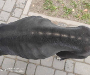 Nitka przeżyła HORROR