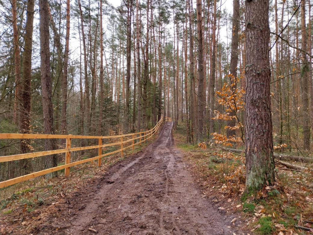 Stawy Echo. Roztoczański Park Narodowy