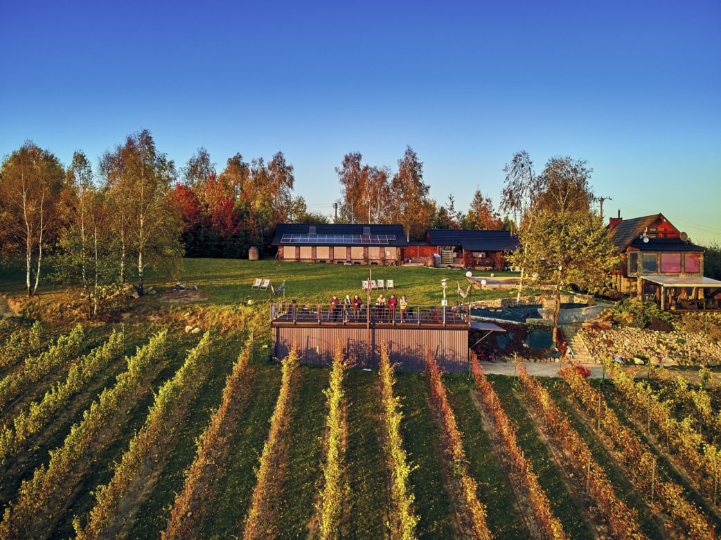 Winnica widokowa w Komborni