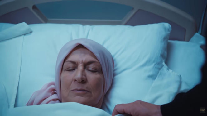 Dziedzictwo, odc. 859. Yaman, Akca