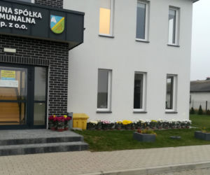 Wyjątkowo kolorowa jesień w Gminie Iława. Wszędzie chryzantemny!