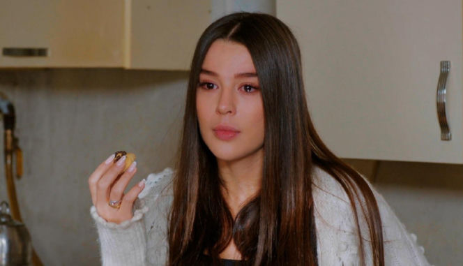 Miłość i nadzieja, odcinek 351. Zeynep