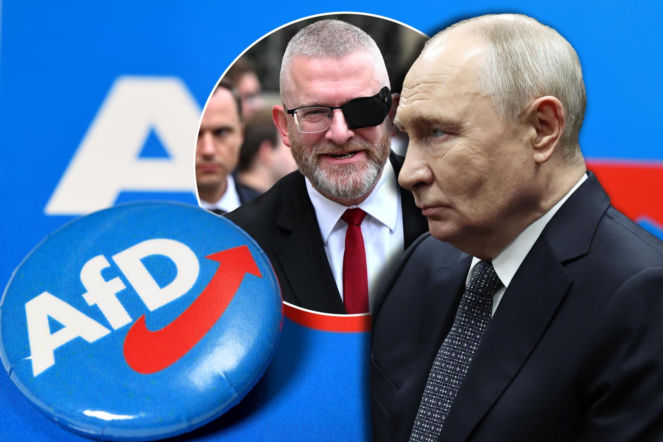 Braun i AfD chcą wznowienia Nord Stream! W urodziny Putina