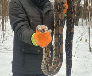 Szokujące znalezisko w polskim lesie. To nie mieści się w głowie!