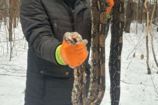 Szokujące znalezisko w polskim lesie. To nie mieści się w głowie!