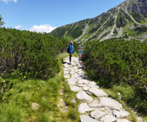 Starachowiczanie na wakacjach