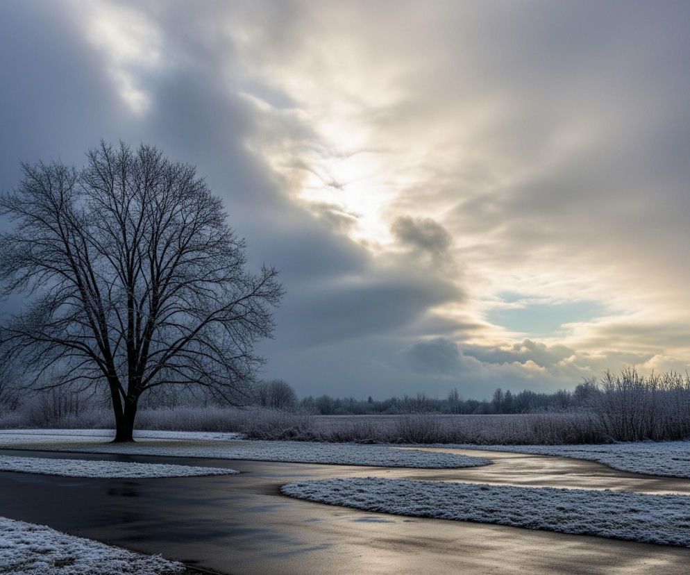 Na pierwszym planie, po lewej stronie, dominuje duże, bezlistne drzewo o rozłożystych, ciemnych gałęziach. Przed nim i wokół niego rozciąga się ciemna, mokra, kręta ścieżka lub droga, wzdłuż której widać pokryte szronem trawniki. Cały pierwszy i środkowy plan pokrywa cienka warstwa białego szronu. Dalej, za ścieżką, rozciąga się równina porośnięta niskimi krzewami i wyższymi drzewami, również pokrytymi szronem, co nadaje im srebrzystobiały odcień. Horyzont wyznacza linia gęsto rozmieszczonych drzew i krzewów. Niebo jest pochmurne, z dominacją ciemnych, szarych chmur po lewej stronie, które przechodzą w jaśniejsze, złotawe odcienie po prawej, gdzie częściowo przebija się słońce, tworząc jasne refleksy.