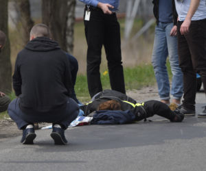 Łoś uderzył w motor przed rondem w Zielonce 