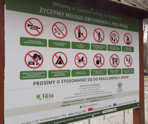 Drzewka i rekreacja na Barbarce