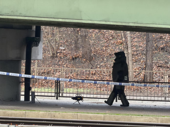 Akcja pirotechników rondo Starzyńskiego