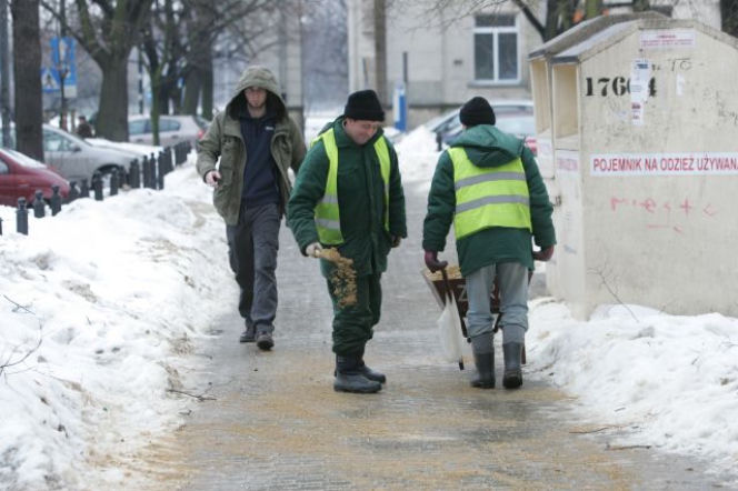 Gołoledź