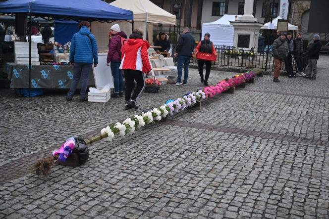 35 metrów i 80 centymetrów liczy palma, która zwyciężyła tegoroczny konkurs palm w Lipnicy Murowanej
