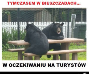 Memy o Bieszczadach