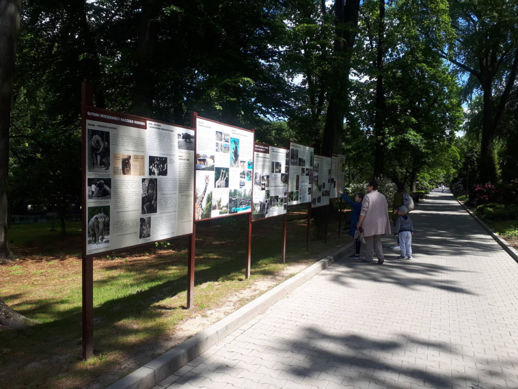 Krakowskie ZOO wznowiło działanie i zaprasza do odwiedzin
