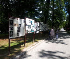 Krakowskie ZOO wznowiło działanie i zaprasza do odwiedzin