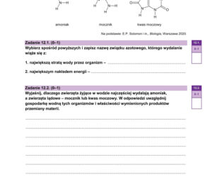 Próbna matura 2026 z biologii: Arkusze CKE, pytania i sugerowane odpowiedzi [14.01.2026]