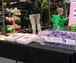 Festiwal Roślin w Enea Arenie