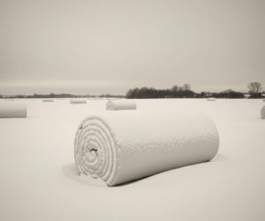 Śnieżne rolki zaskoczyły Lubelszczyznę. Co stoi za tajemniczymi walcami na polach?