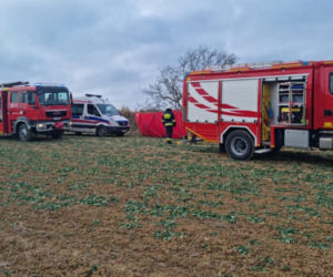 Maszki . Nie żyje 46-latek przygnieciony przez drzewo! Tragedia przy wycince [ZDJĘCIA]