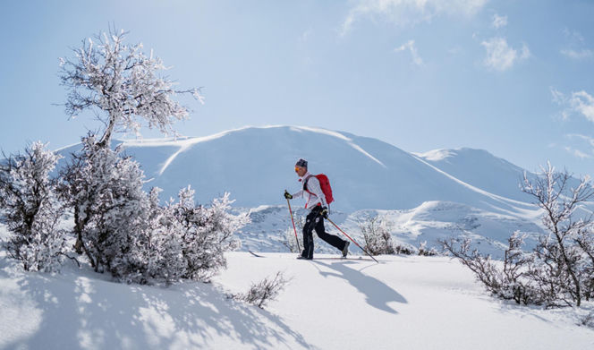 Turystyka górska w zimowym wydaniu. Czym jest skitouring i co musisz wiedzieć przed pierwszą wyprawą?