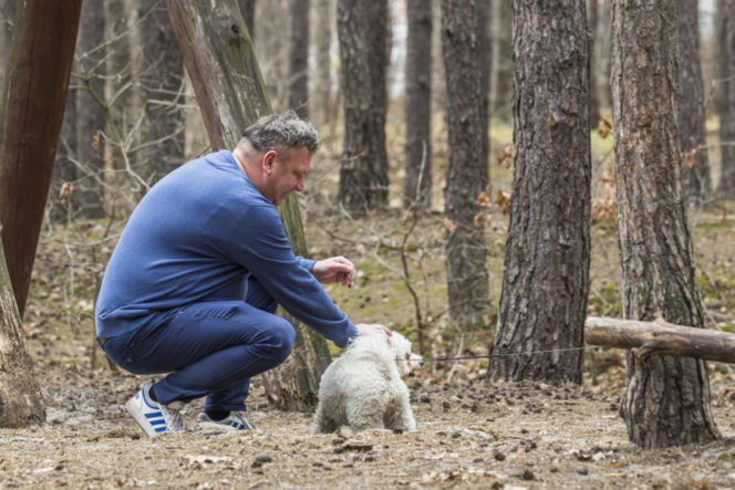 Wójcik zrzuca kilogramy po świętach