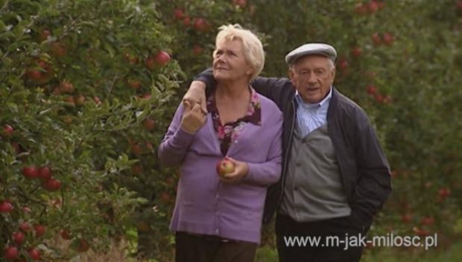 M jak miłość. Barbara (Teresa Lipowska), Lucjan (Witold Pyrkosz)