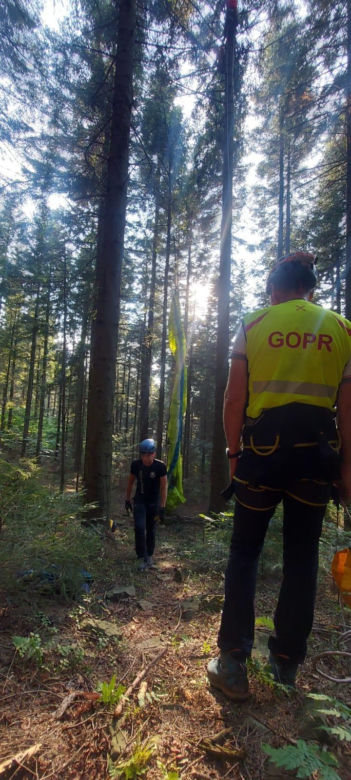 Przez 1,5 godziny wisiała na drzewie i nie mogła zejść. Kobiecie pomogli goprowcy